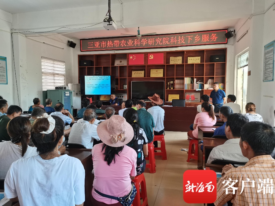 学粮村委会最新新闻报道概览
