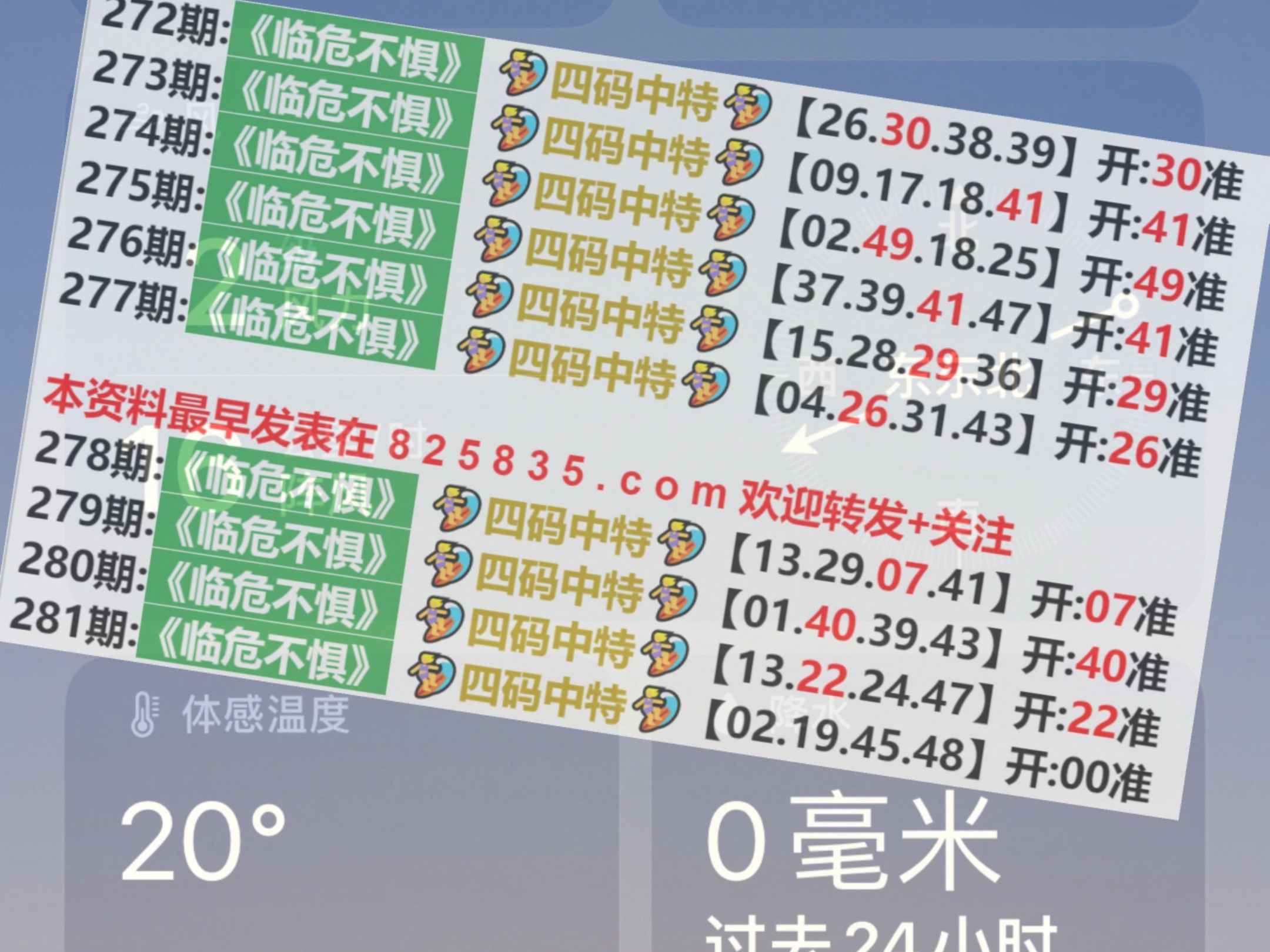 今晚澳门特马开的什么号码2024,实践分析解析说明_macOS49.141