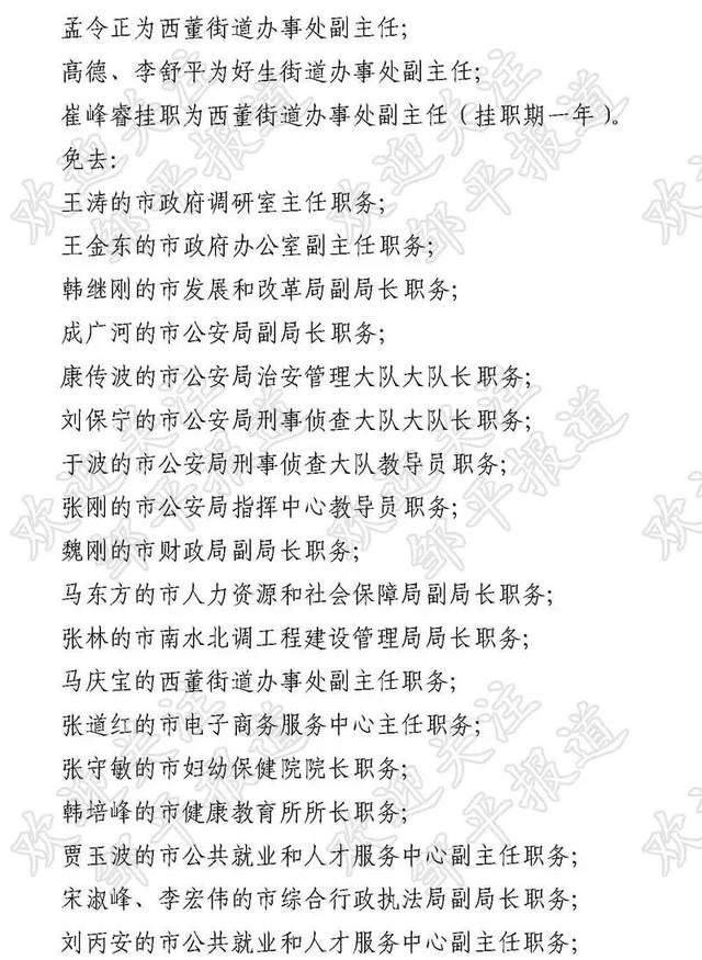 邹平县人民政府办公室人事任命揭晓，新篇章启幕