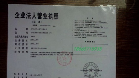 玛尼图煤矿重塑领导团队，引领行业未来新篇章