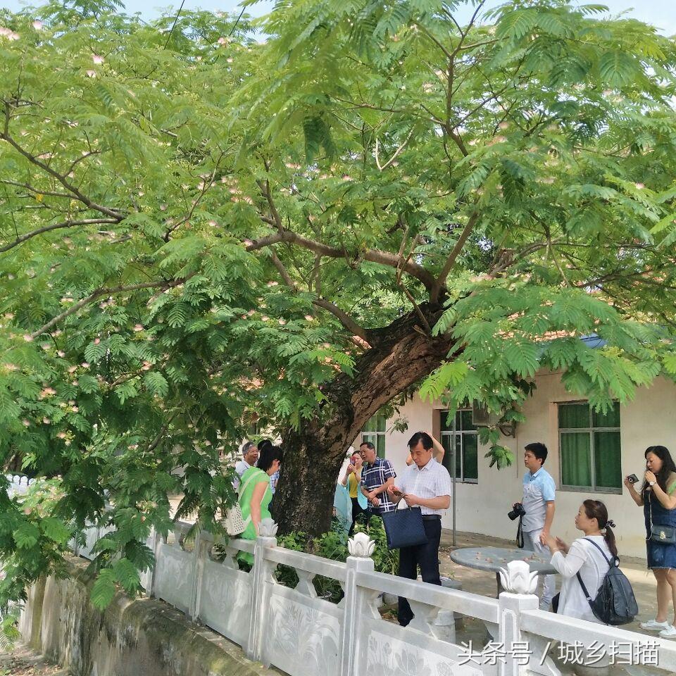 芙蓉乡最新天气预报通知