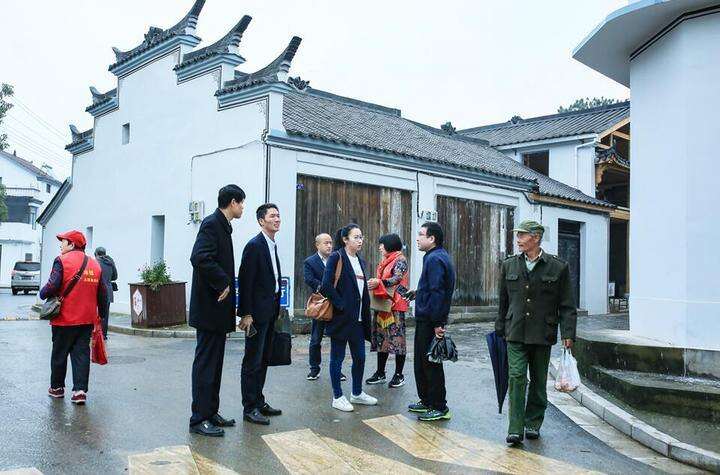罗埠镇最新新闻综述，全面解读当地发展动态