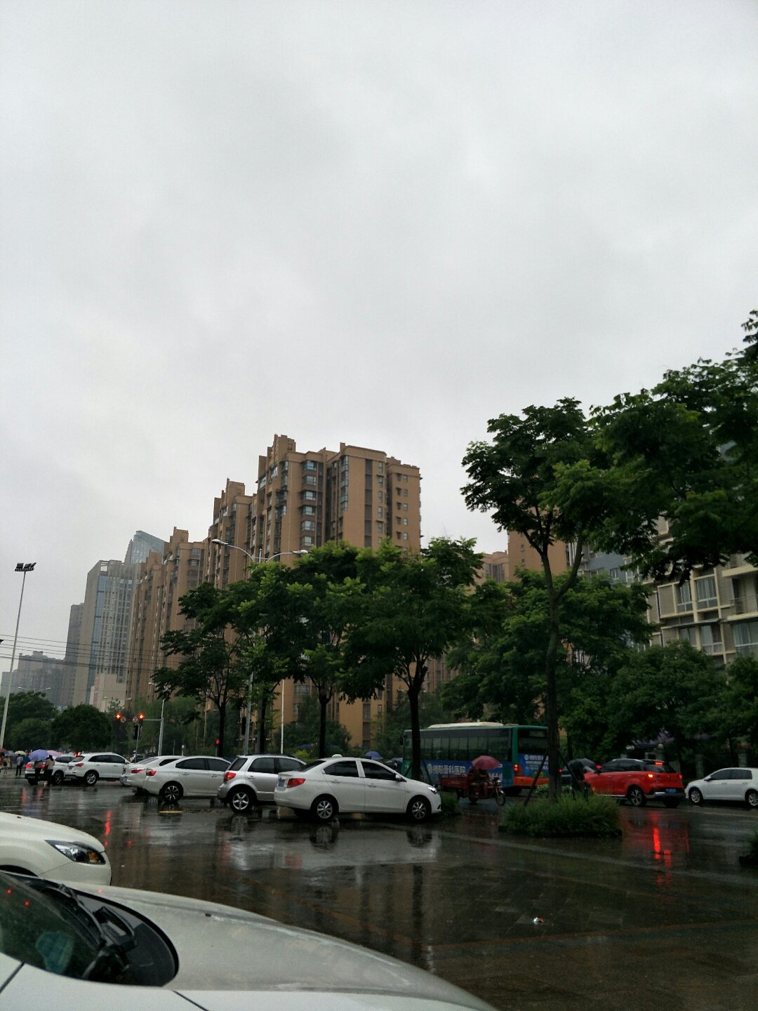 康家渡社区最新天气预报通知