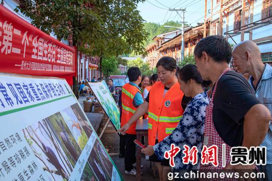 三元村乡村振兴新篇章，最新新闻报道