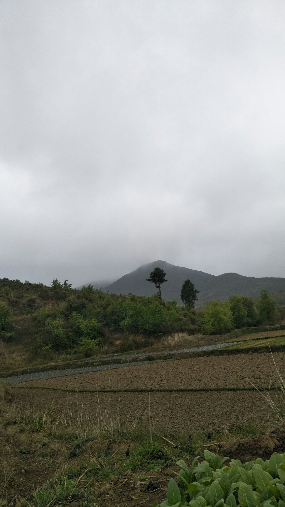 孜中村天气预报更新通知