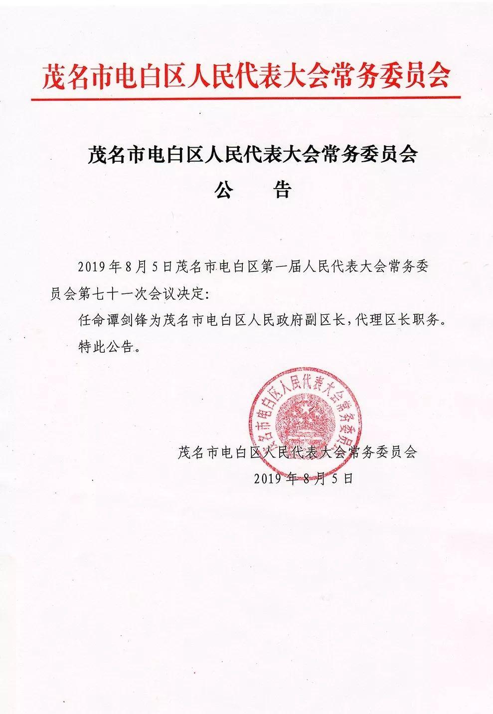 电白县文化广电体育和旅游局人事任命动态更新
