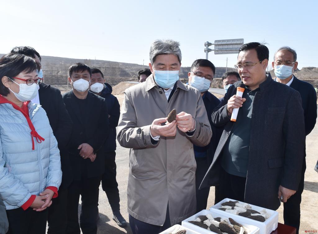 山西省忻州市偏关县老营镇交通新动态