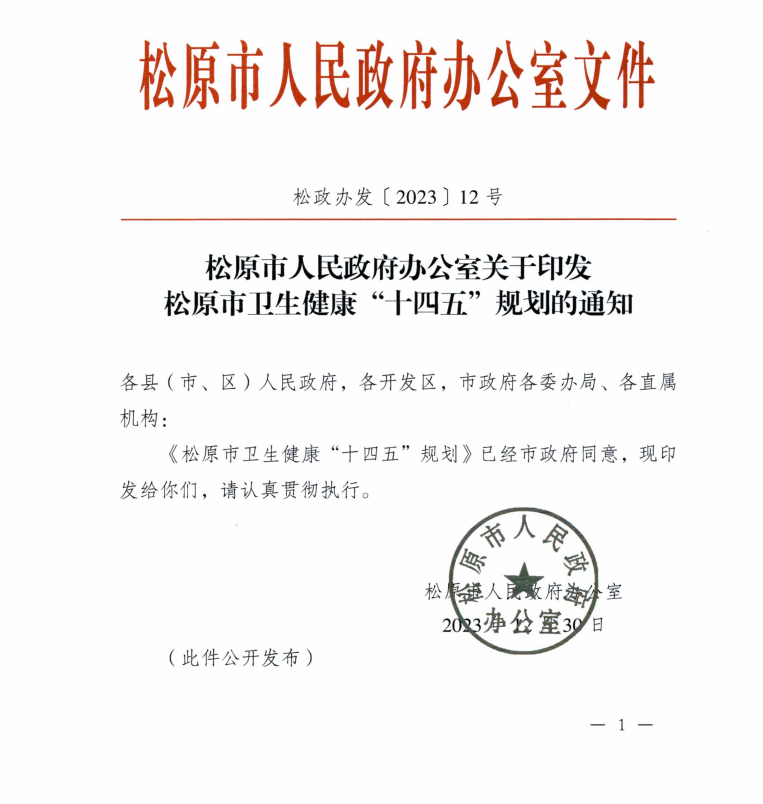 松原市人民防空办公室最新发展规划深度解析