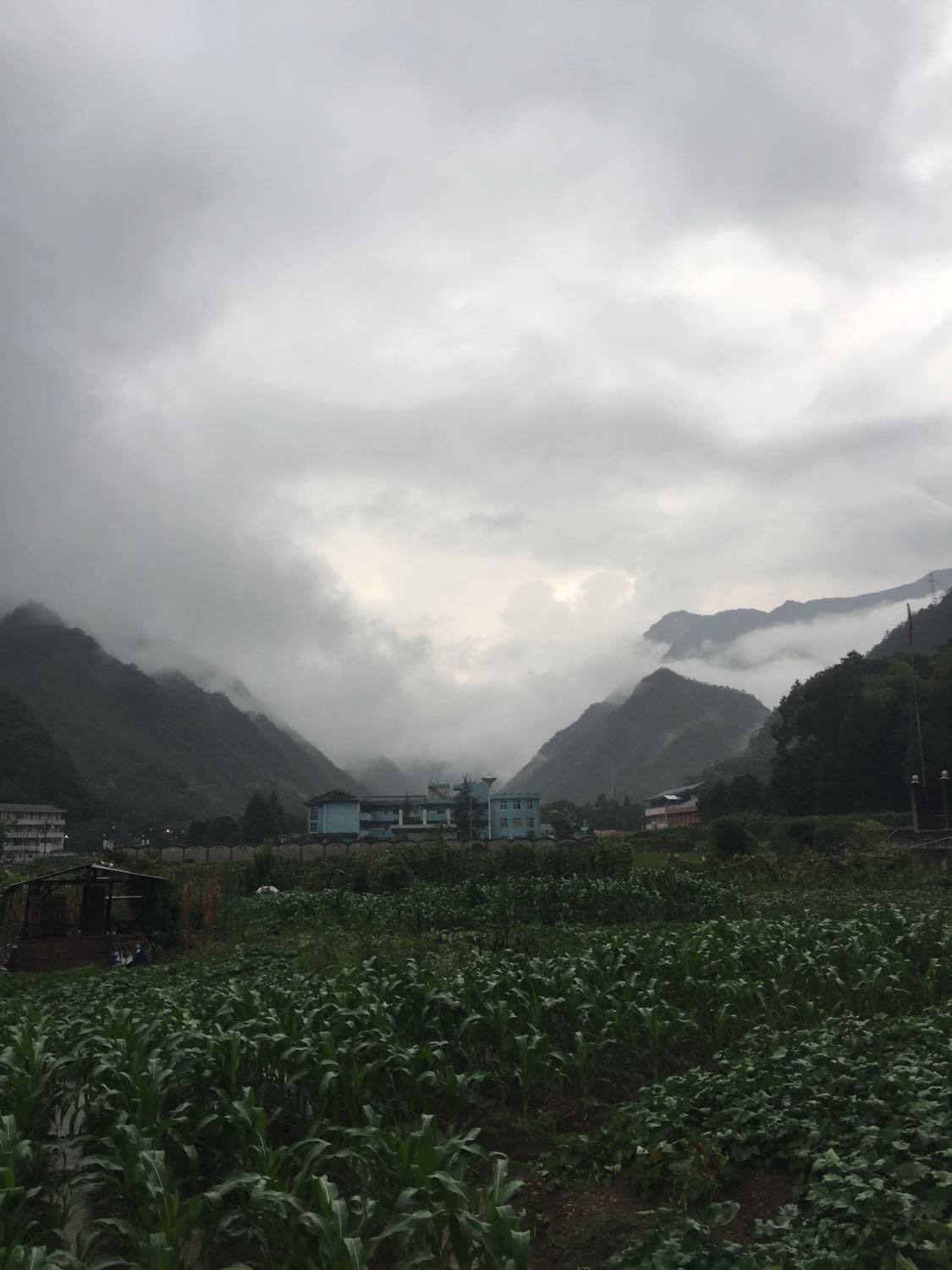 小溪镇天气预报更新通知