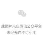 任店镇领导团队全新亮相，携手共筑未来新篇章